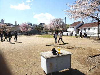 会場の古市町公園