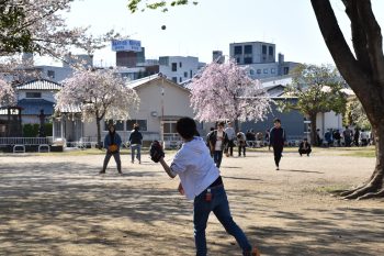 キャッチボールしてます＾＾