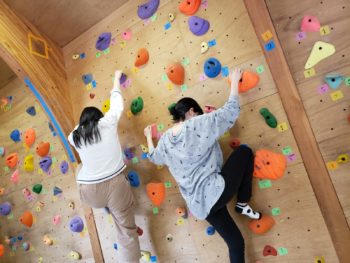 さる小の多目的ホールでボルダリング