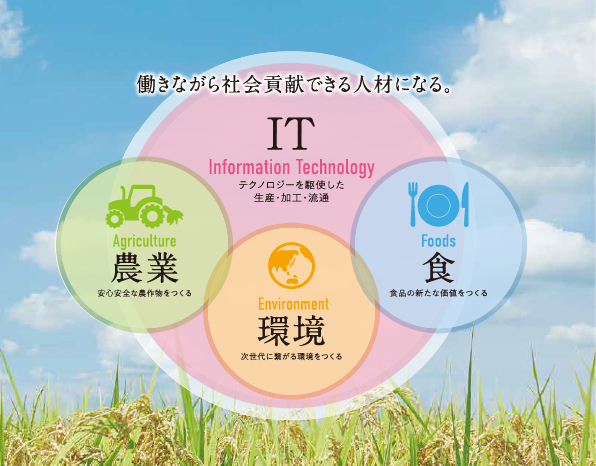 新しい農業６次産業