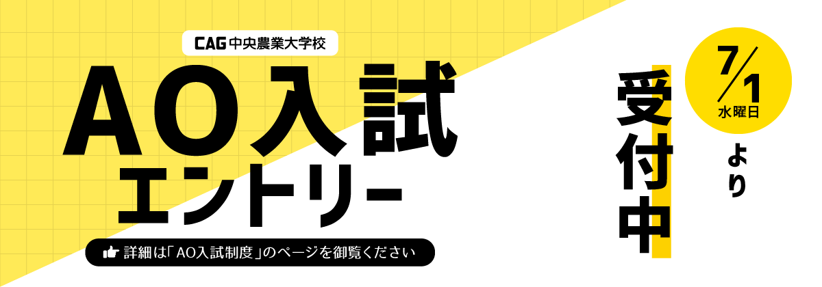 AO入試エントリー 7月1日より