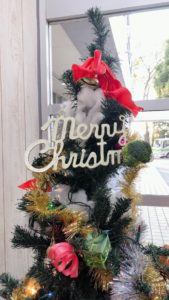 クリスマスツリー