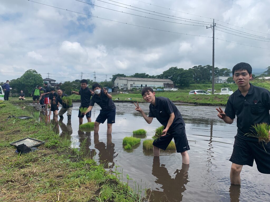 田植え実習