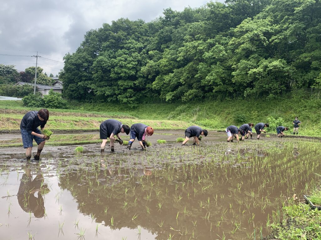 田植え実習