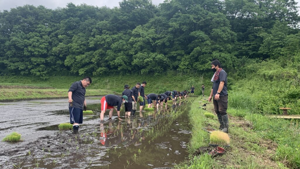 田植え実習