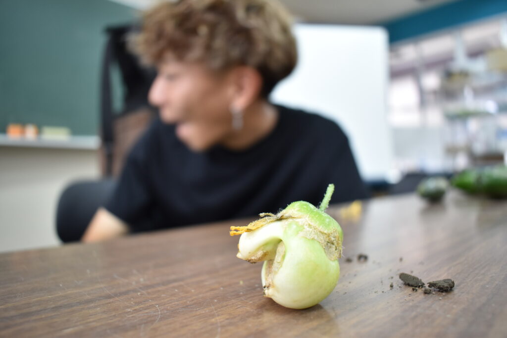 学生とキュウリ