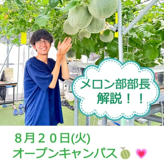 【オープンキャンパスのお知らせ】

8月20日(火)#メロン 🍈のスイーツが食べられるオープンキャンパスを開催！

【体験内容】
①町田式 #水耕栽培 によるメロン栽培について学ぼう！🍈✨

１株から約４０個(通常は１～４個)のメロンが育つ理由をメロン部 部長が解説!!日頃の管理方法や栽培の秘訣をお伝えします🥰

②人気カフェ #LAUGHCOFFEE の代表と店長(バリスタ)が来校!
#カフェ経営 のノウハウからカフェの魅力まで学べます!☕💕

【開催日】
日程：8月20日(火)
時間：10:00-12:30(受付開始9:00-）
場所：中央農業大学校
　　　群馬県前橋市南町2-31-1

📍中央農業大学校
ＪＲ新前橋駅東口より無料送迎バスあり
【出発時刻】９：３０
駐車場 （無料）がございますのでご利用ください 🅿
参加費用 無料

【参加特典】
🍈メロンのスイーツ
☕バリスタが淹れたコーヒー
🥕農業ガチャ

#中央農業大学校
#群馬県
#前橋市
#専門学校
#学生
#農業
#スマート農業
#農業男子
#農業女子
#LAUGH COFFEE