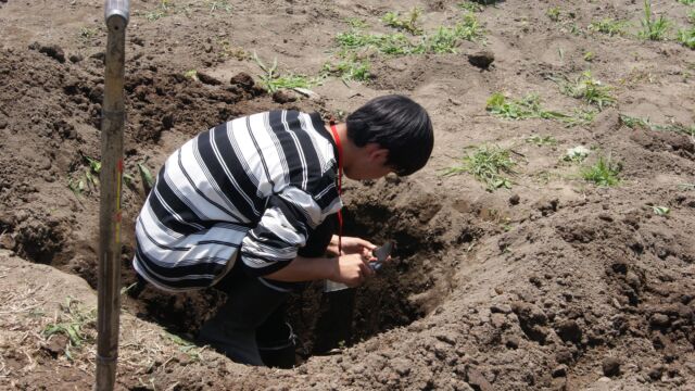 【何をしているところかな？】

土の様子を見るために学生が土を掘っている様子です🌱

植物を育てるためには、土壌中の養分状態を植物の要求する量に調節するとともに、他の成分とのバランスをとらなければなりません😊

そのためには、土壌の不足する養分と過剰な養分を把握する「土壌診断」が必要です🥰
※土壌診断では深さ15cm程度までの土を採取します

植物によって栽培に適した土壌酸度は異なりますが、一般的にpH(酸度)は6.0～6.5がいいとされています🥔✨

#中央農業大学校
#群馬県
#前橋市
#専門学校
#学生
#農業
#スマート農業
#農業男子
#農業女子
#土壌診断
#pH