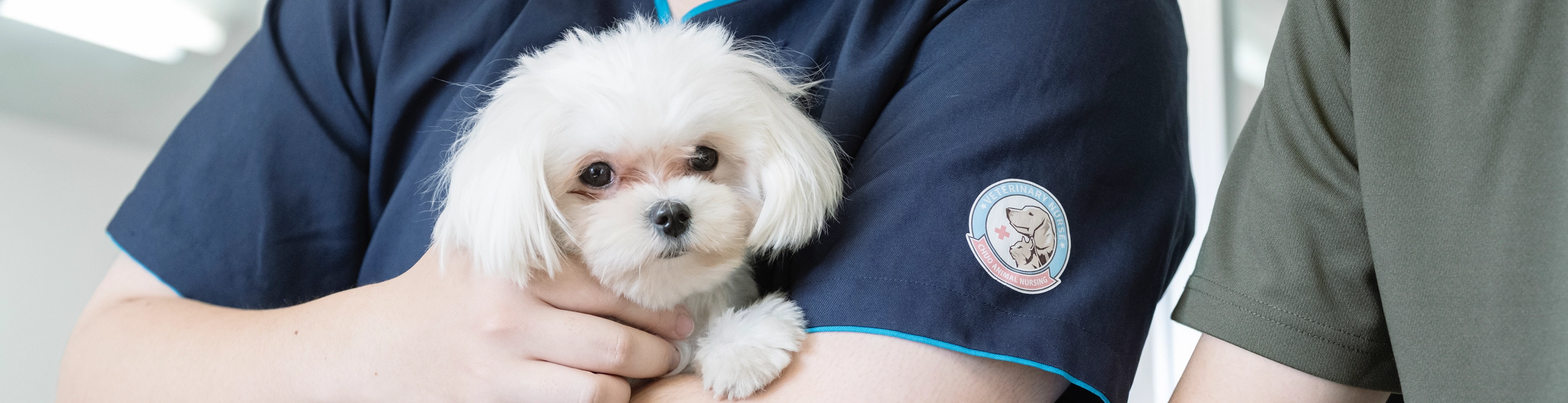 CANについて・公開情報