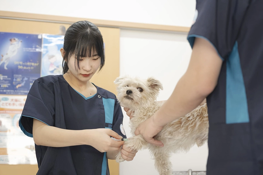 国家資格『愛玩動物看護師』>取得を目指す