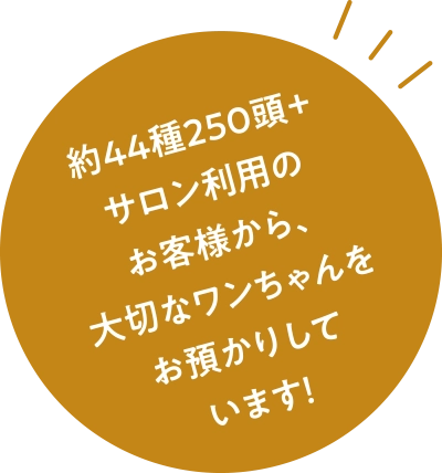 約44種250頭＋サロン利用のお客様から、大切なワンちゃんをお預かりしています！