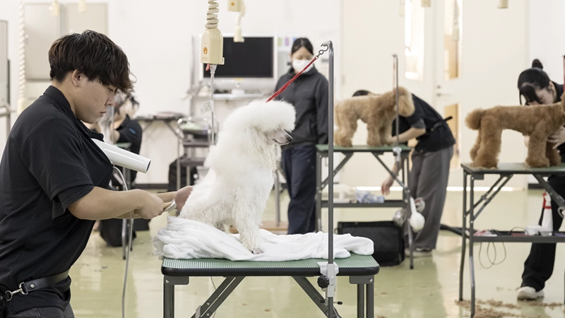 高度なトリミング技術」を主軸とし現場から求められるプロを育てる。