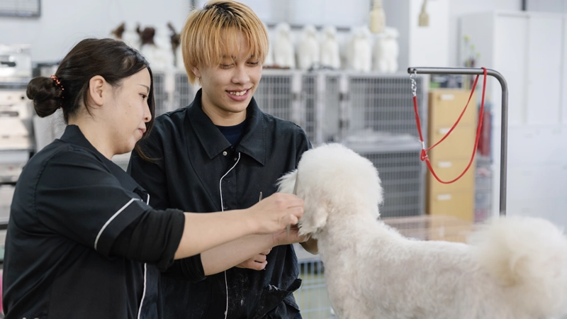 高度なトリミング技術」を主軸とし現場から求められるプロを育てる。