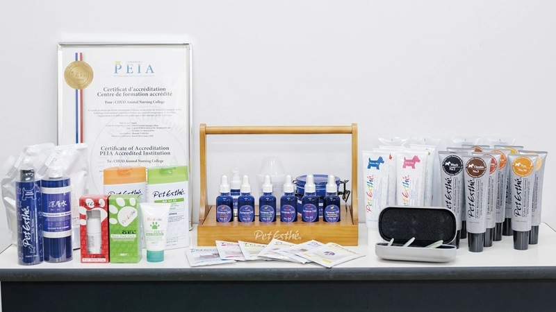 県内唯一のペットエステ国際基準認定校。スペシャリストのエステ資格が取得可能！