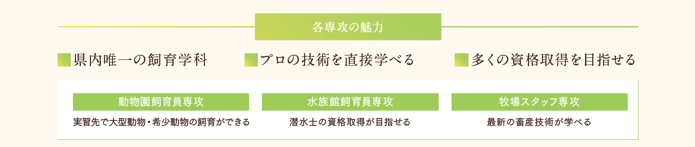 各専攻の魅力