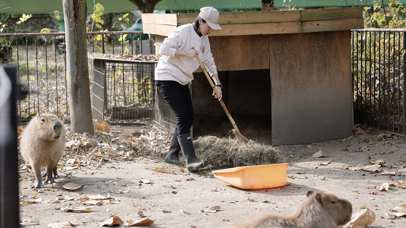 あなたが目指す県内外の世説へ実習・就職が可能！