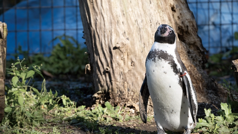 あなたが目指す県内外の世説へ実習・就職が可能！