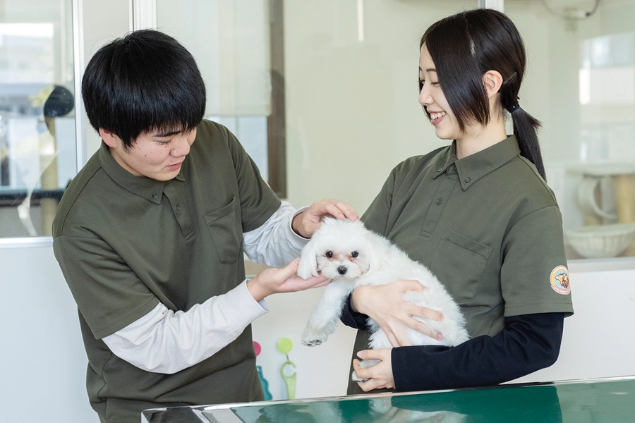 1.おもち、おはよー！