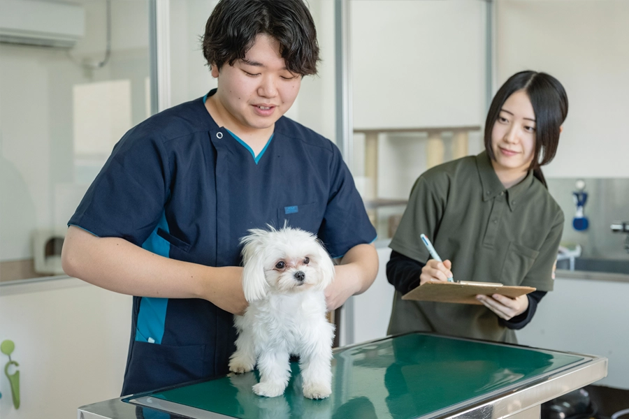 5.体重・脈・体温・呼吸測定