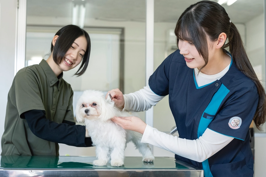 6.歯磨き＆ブラッシング