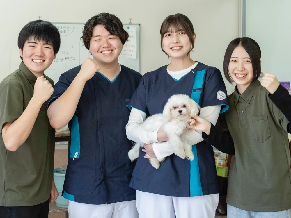 学科も学年も混ざる「班制度」で動物たちの為に考える力が伸びる