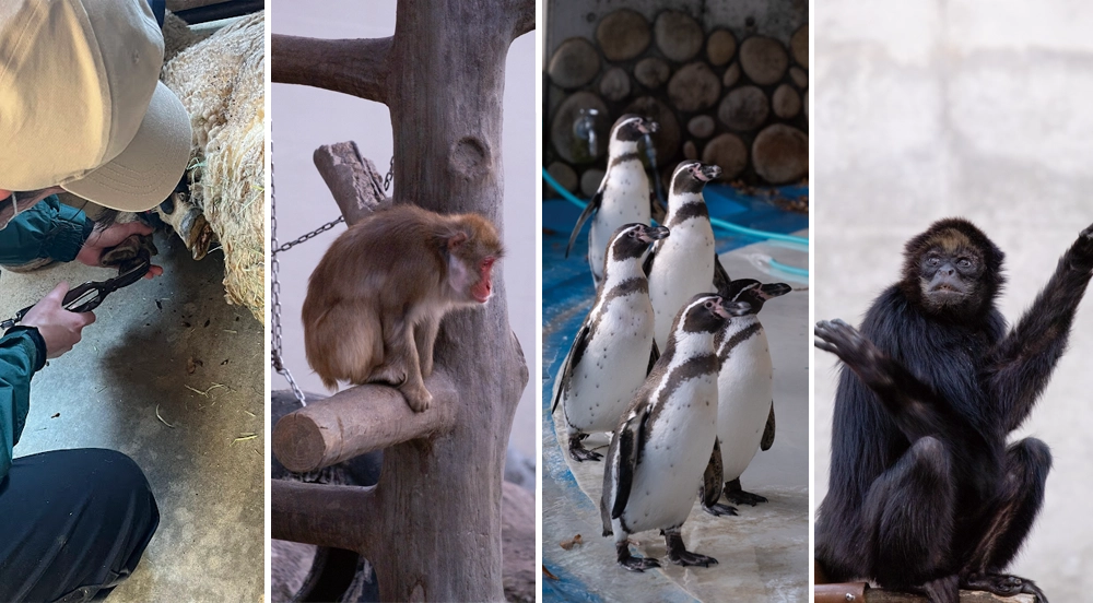 桐生が岡動物園