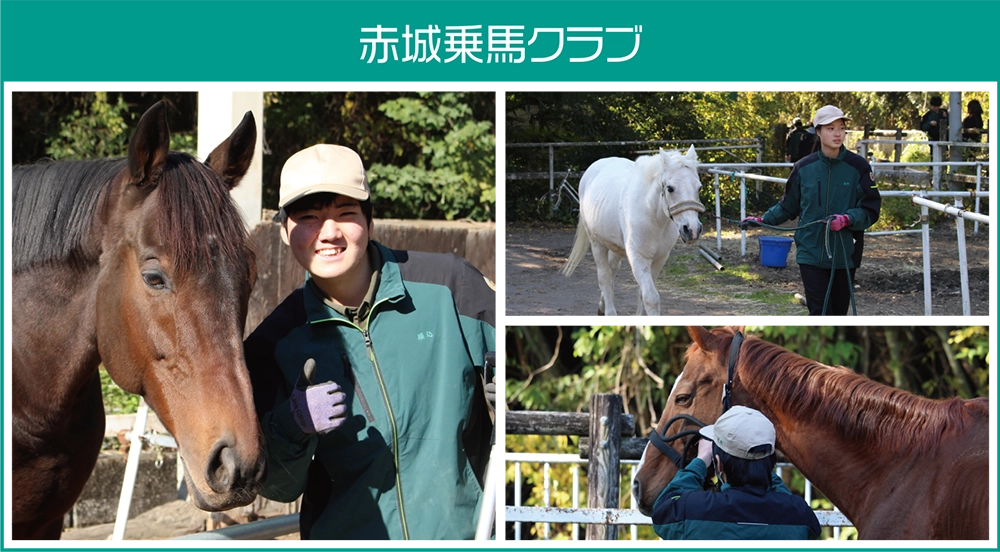 赤城乗馬クラブ