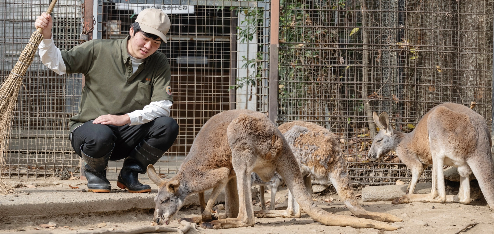 野生の王国 群馬サファリパーク