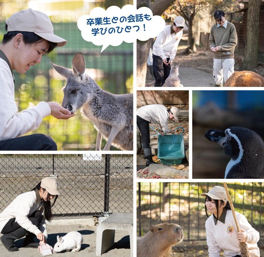 ふれあいパーク