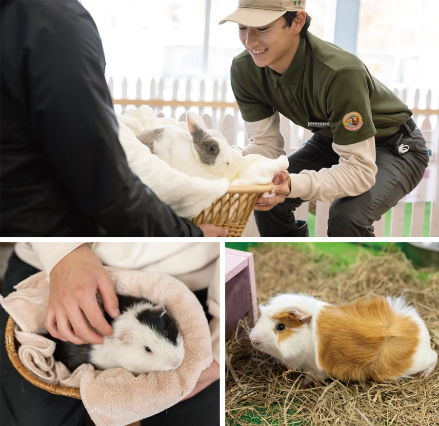 ふれあいハウス