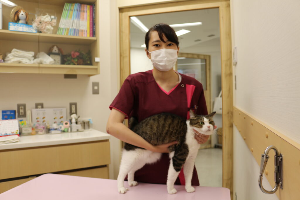 画像に alt 属性が指定されていません。ファイル名: IMG_1658-1024x683.jpg