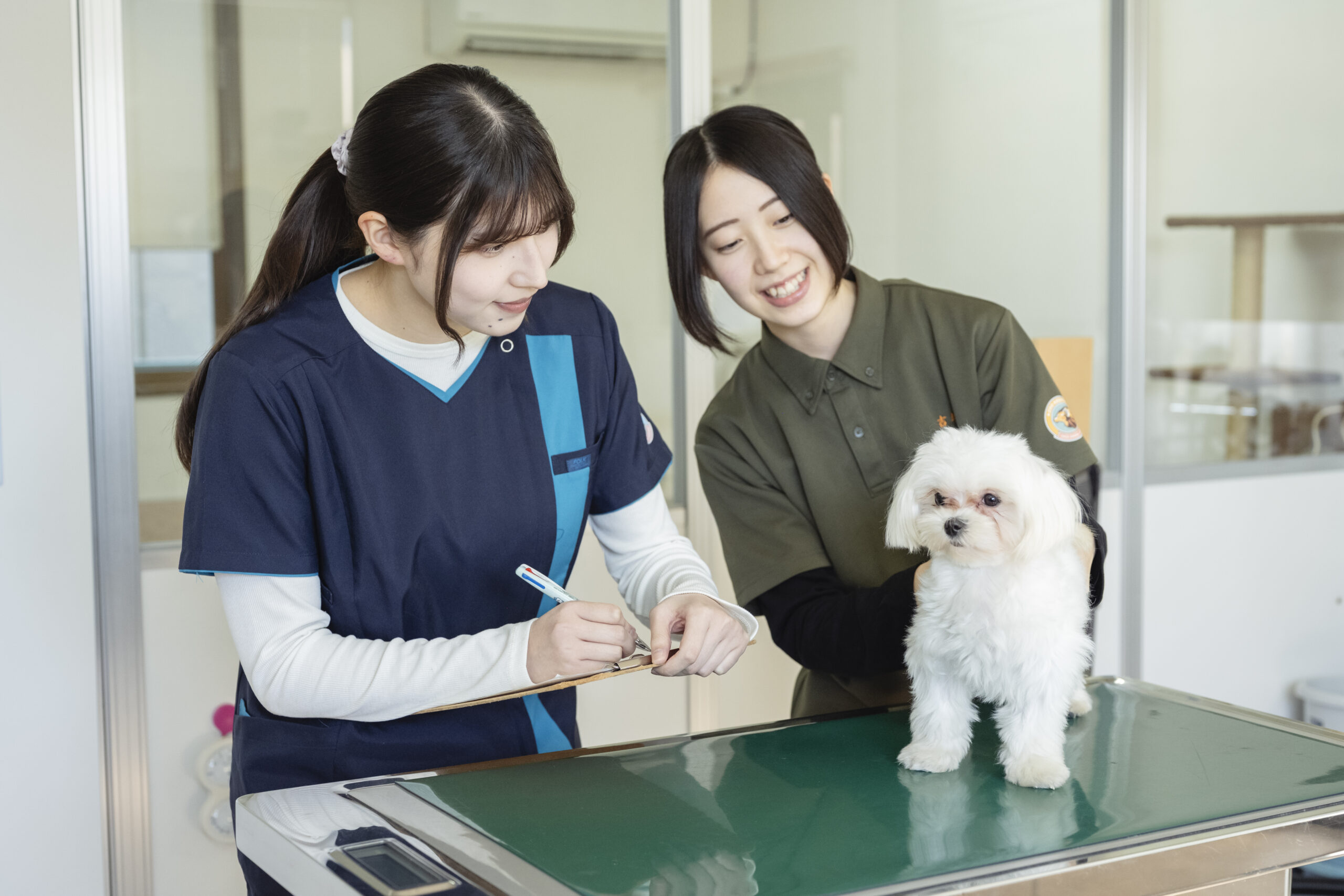6月7日(日)オープンキャンパス🐰 | 中央動物看護専門学校