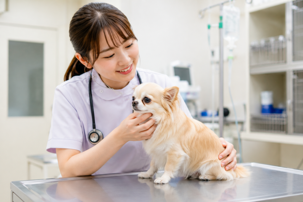 動物を観察する愛玩動物看護師を目指す学生