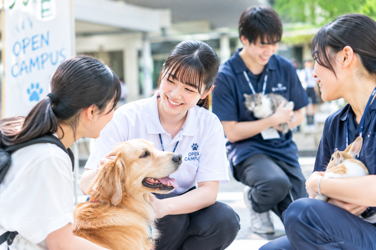 オープンキャンパスで動物と関わる様子