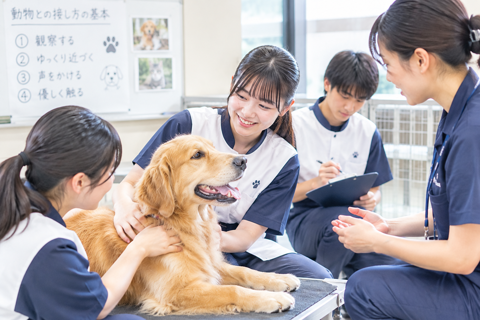 動物との接し方を基礎から学ぶ学生
