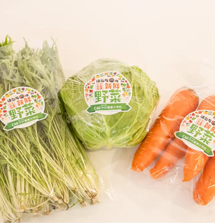 ポイント3イメージ