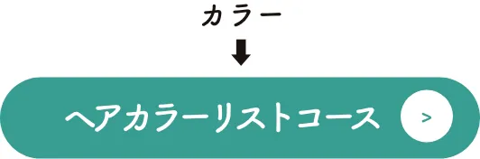 ヘアカラーリストコース
